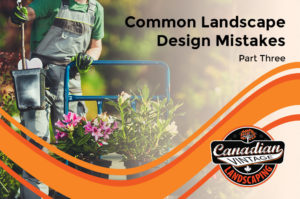 Common landscape design mistakes – part 3
