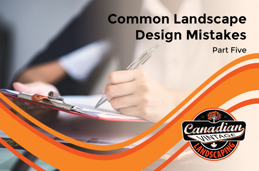 Common Landscape Design Mistakes – Part 5